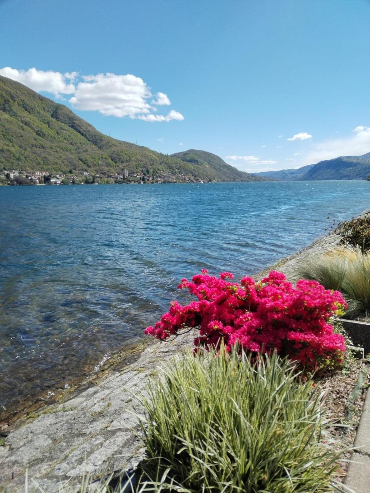 Un Balcone Sul Lago Omegna Exteriér fotografie