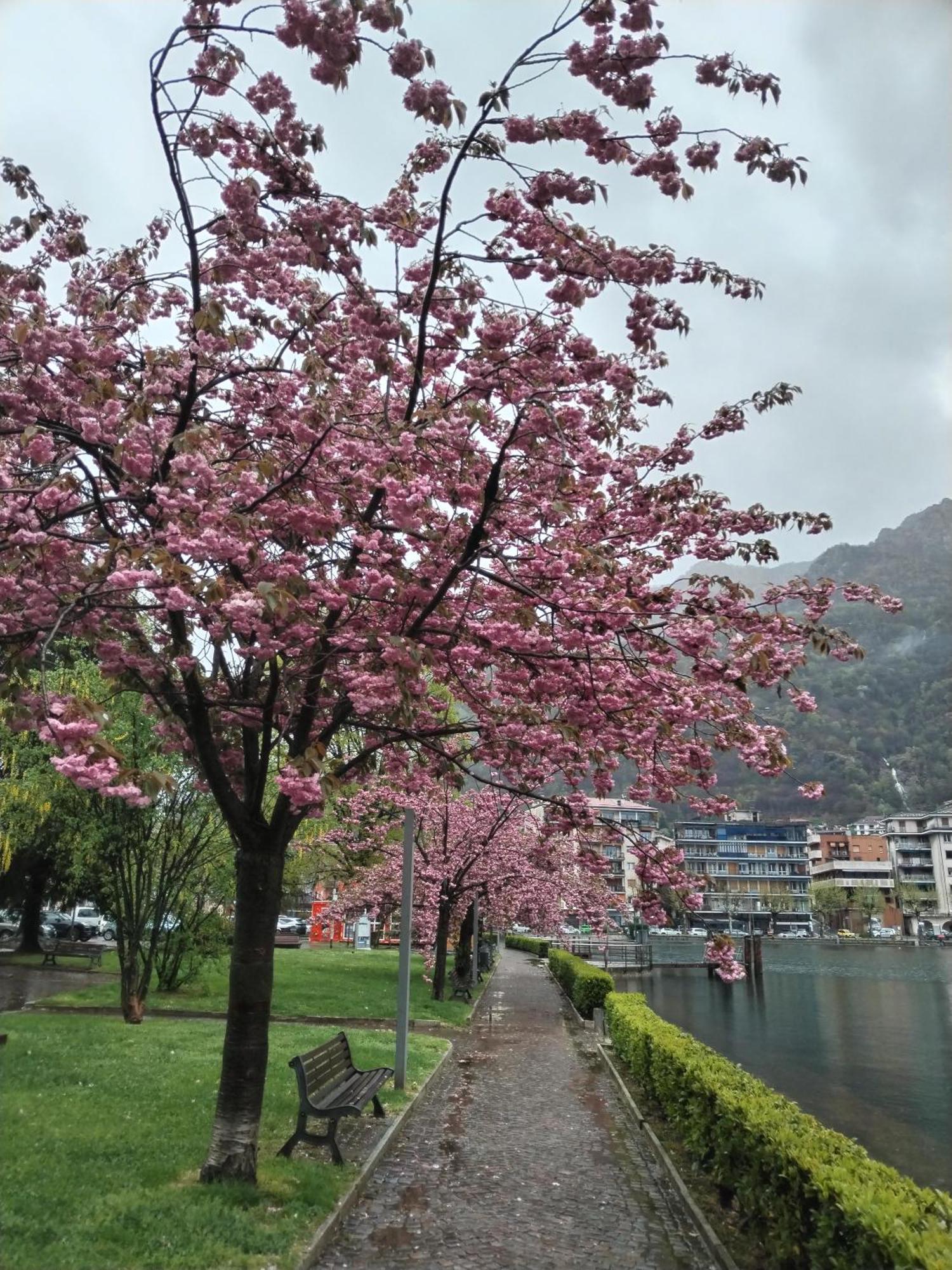 Un Balcone Sul Lago Omegna Exteriér fotografie